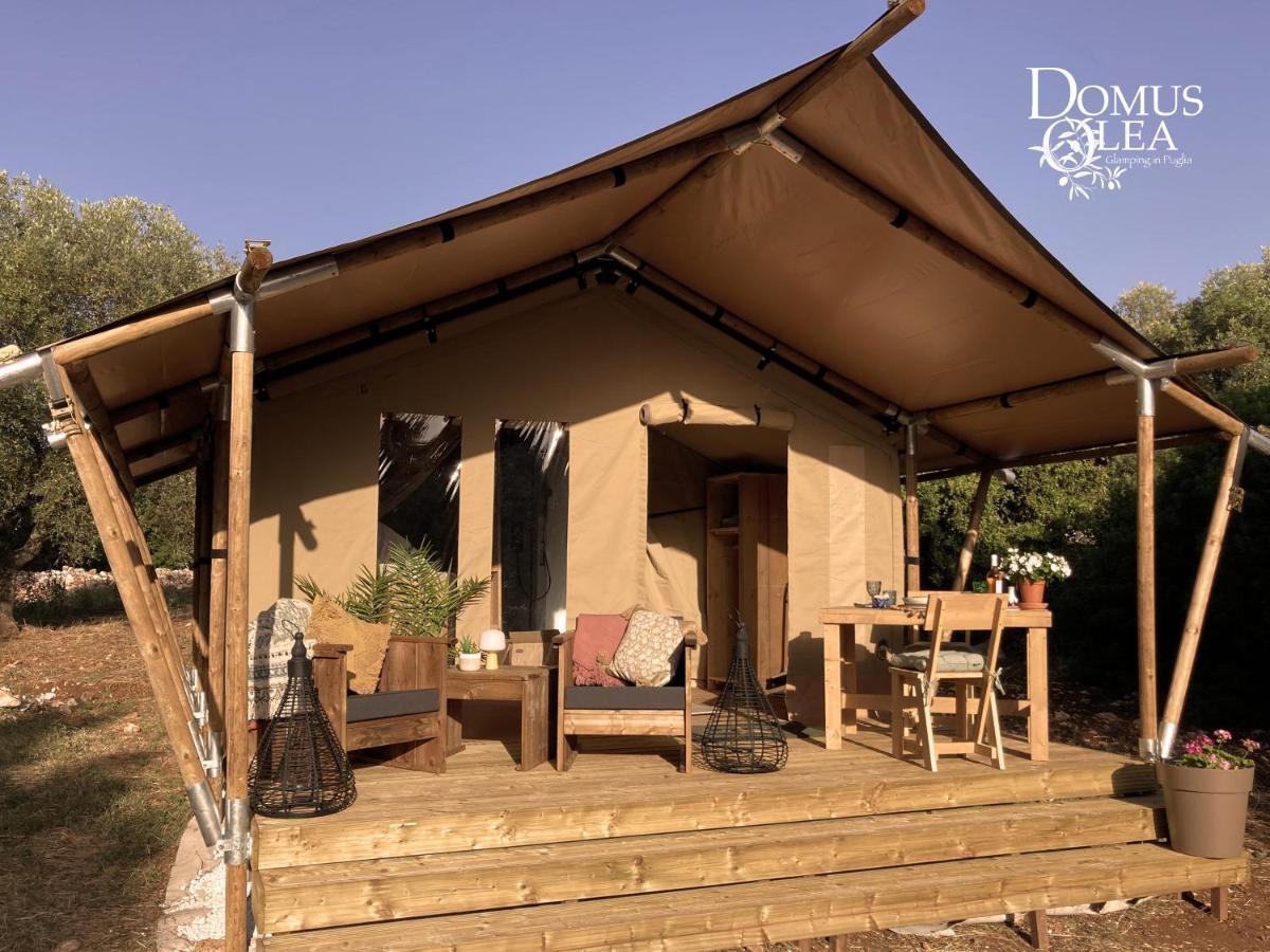 Domus Olea Glamping 호텔 세글리에 메사피카 외부 사진