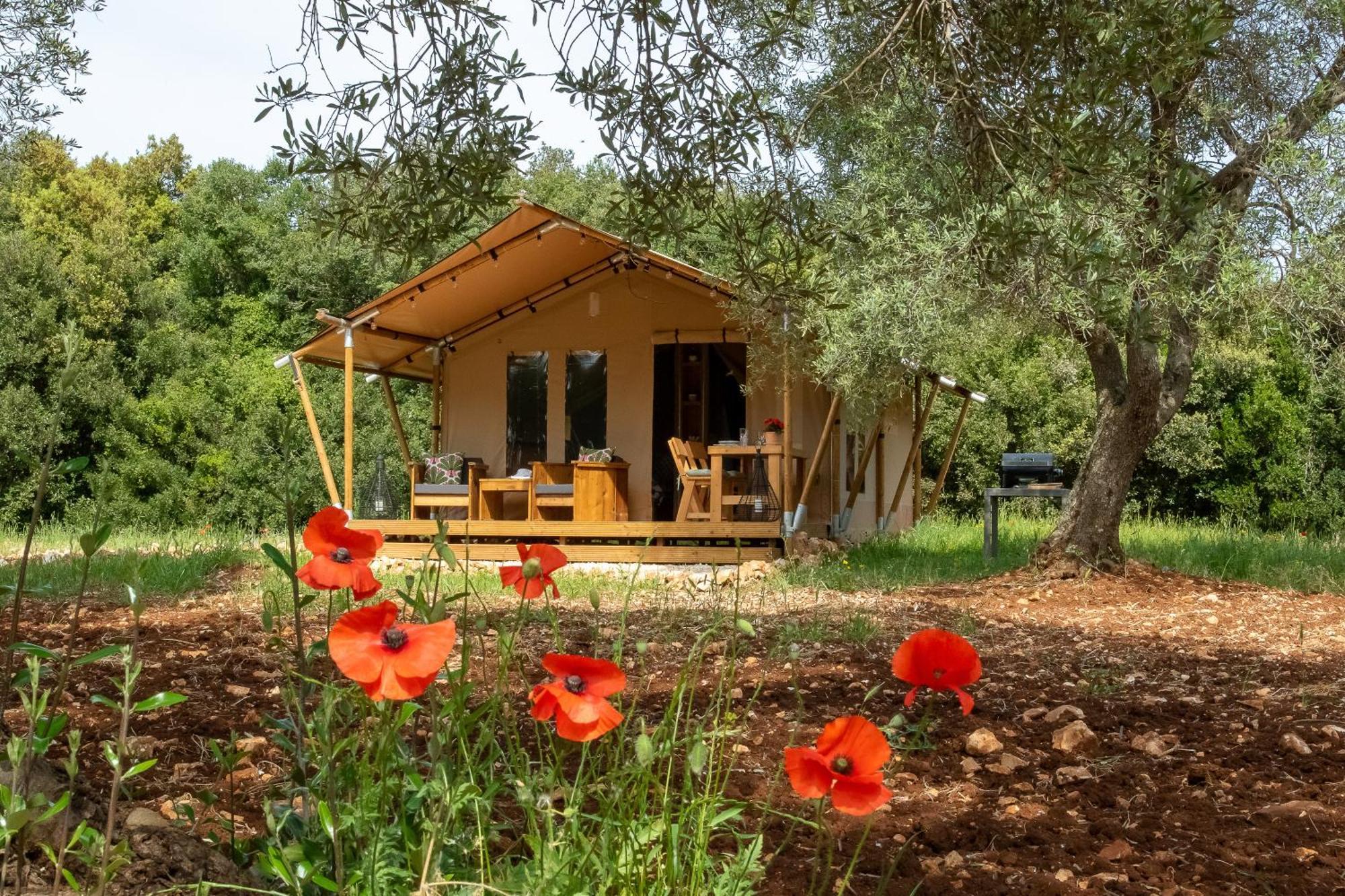 Domus Olea Glamping 호텔 세글리에 메사피카 외부 사진