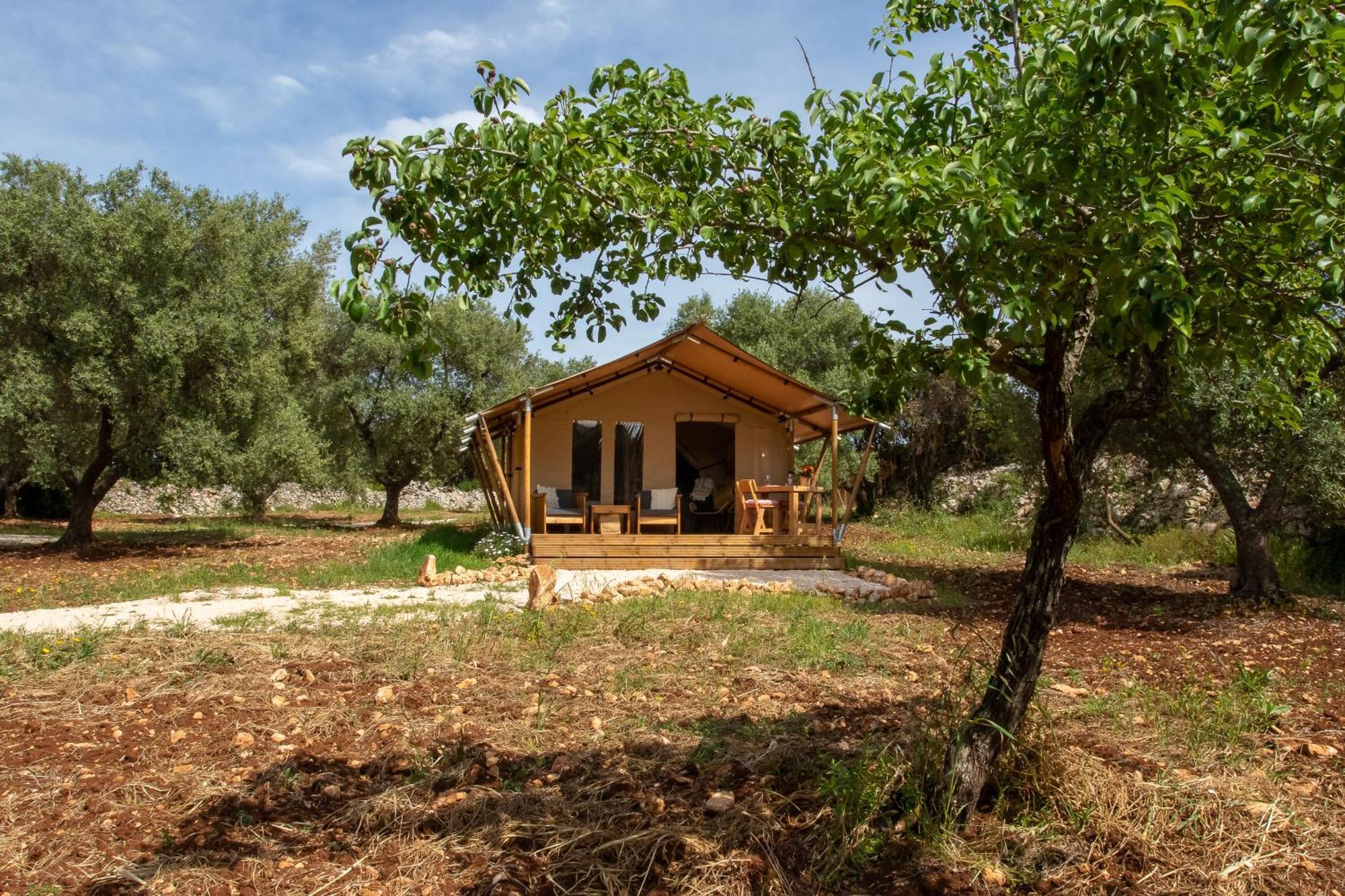 Domus Olea Glamping 호텔 세글리에 메사피카 외부 사진