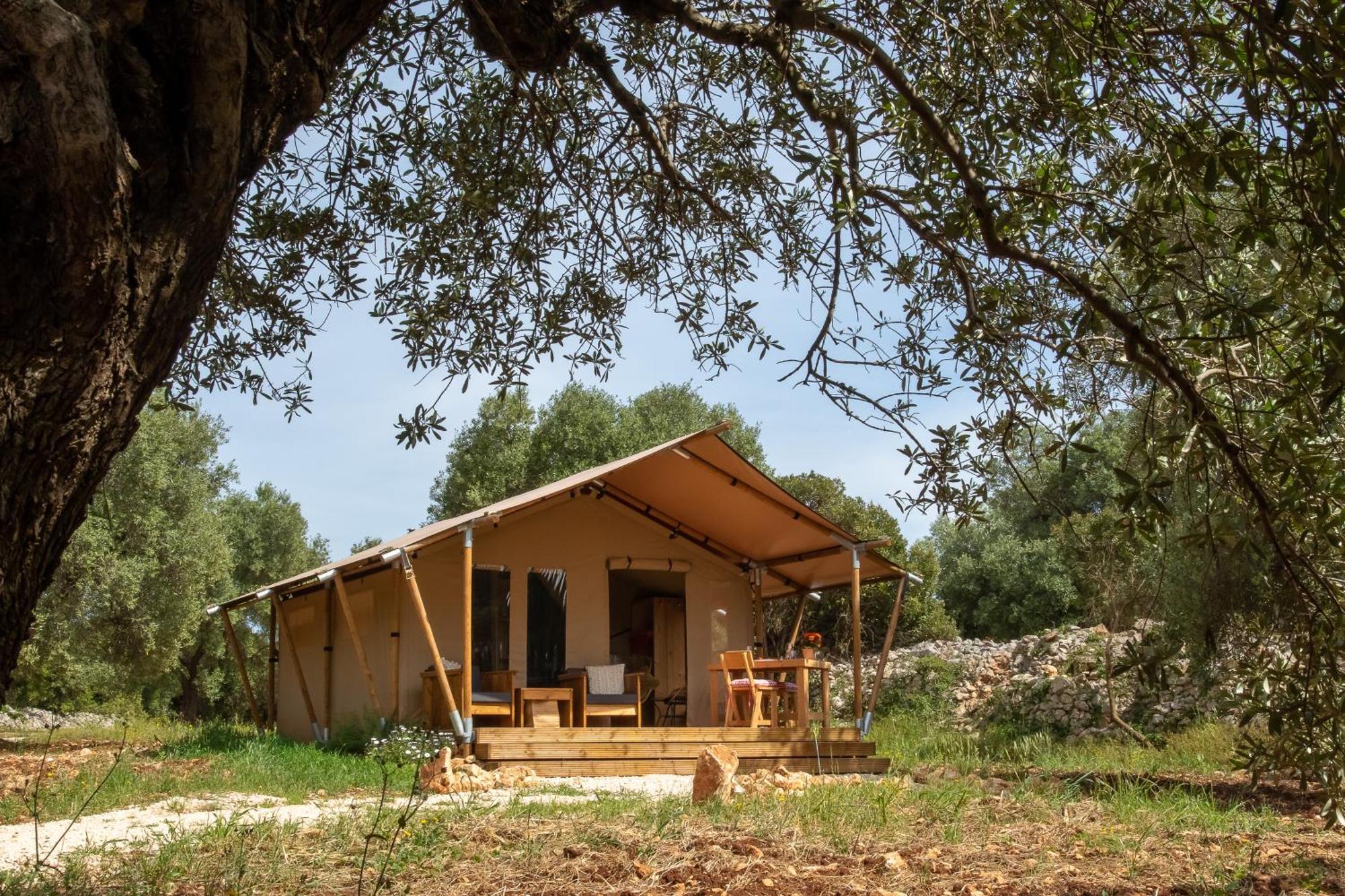 Domus Olea Glamping 호텔 세글리에 메사피카 외부 사진