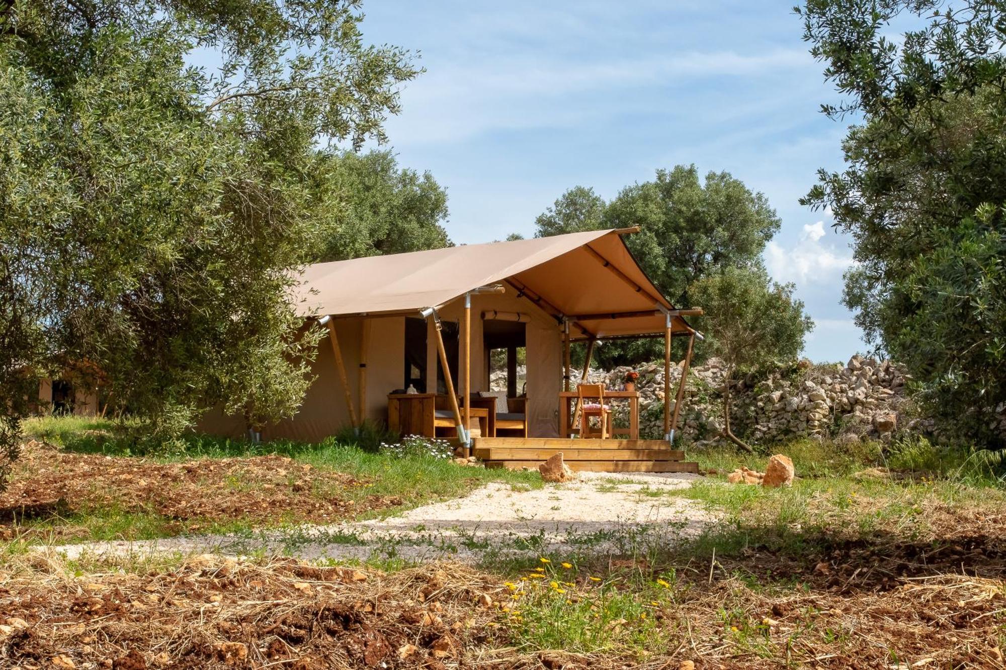Domus Olea Glamping 호텔 세글리에 메사피카 외부 사진